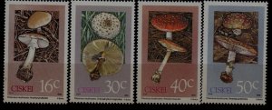 Ciskei 127-30 MNH  Mushrooms SCV6.55