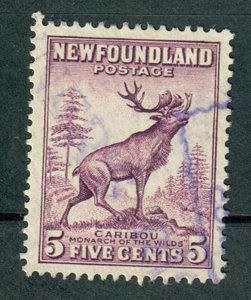 Newfoundland #191 used single - perf 13.5