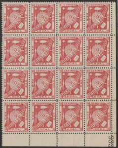 ARGENTINA 1891 LOCAL TIERRA DEL FUEGO FIRELAND Mi 1 BLOCKx16 SHEET NUMBER €960+ 