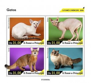 Sao Tome & Principe Cats Stamps 2020 MNH Sphynx Somali Neva Masquerade Cat 4v MS