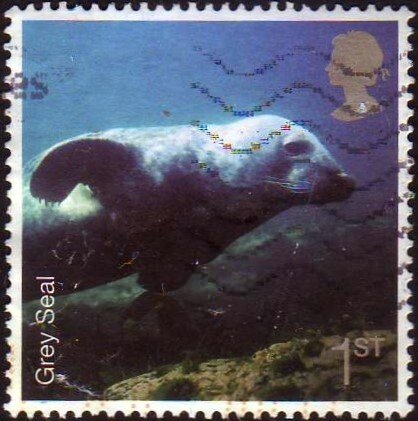 Great Britain 2007 Sc#2453 1st Gray Seal  USED-VF-NH.
