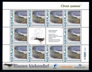 [43405] Netherlands Nederland 2011 Birds Vögel Ucelli Circus cyaneus MNH Sheet