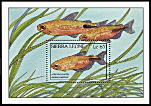 Sierra Leone 963, MNH, African Longfin Fish souvenir sheet