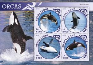 SIERRA LEONE 2016 SHEET ORCAS WHALES MARINE LIFE srl16107a