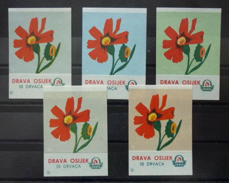 Match Box Labels! flora flower flowers nature osijek croatia yugoslavia GJ49