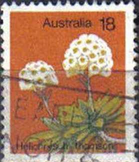 AUSTRALIA, 1975, used 18c. ?Helichrysum thomsonii?, Wild Flowers.