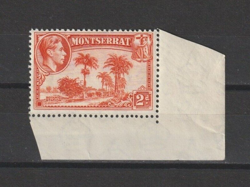 MONTSERRAT 1938/8 SG 104 MNH Cat £25