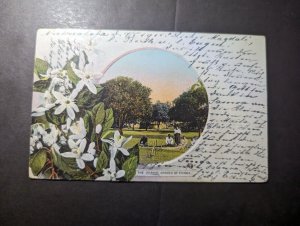 British Tonga Postcard Cover to Germany The Orange Groves of Tonga