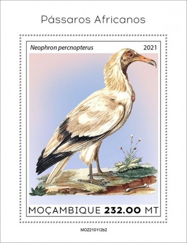 Mozambique - 2021 African Birds, Vulture - Stamp Souvenir Sheet - MOZ210112b2