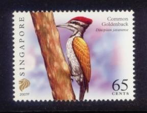 Singapore Sc# 1254e MNH Common Goldenback (2007F)