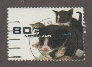 Netherlands 1013 Kittens