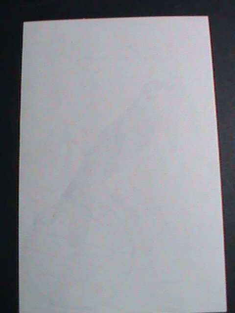 ​OMAN STAMP-1972 COLORFUL BEAUTIFUL BIRDS IMPERF: CTO S/S SHEET VERY FINE