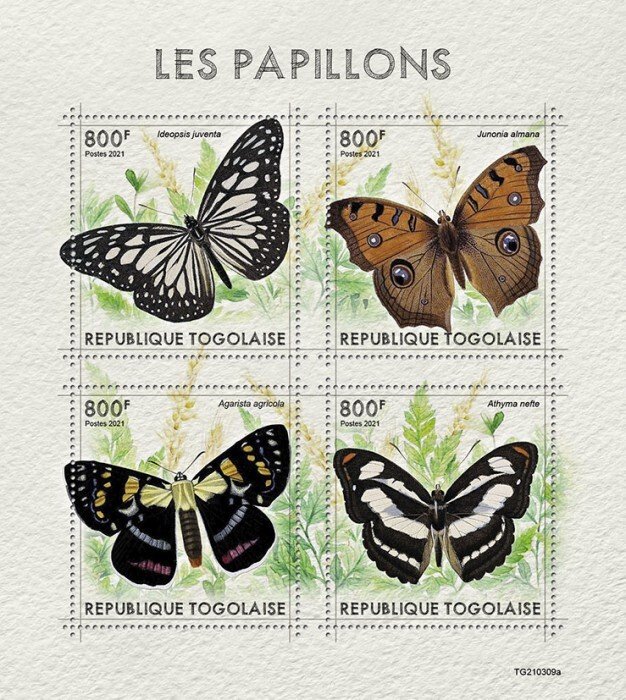 TOGO - 2021 - Butterflies - Perf 4v Sheet - Mint Never Hinged