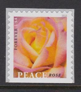 5280 Peace Rose MNH