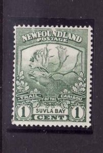 Newfoundland- Sc#115-unused hinged-1c Caribou-Suvla Bay-og-id#8780-1919-