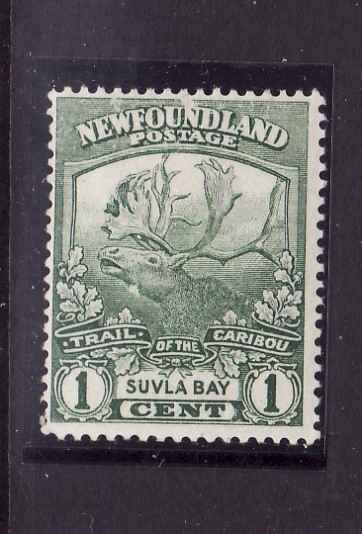 Newfoundland- Sc#115-unused hinged-1c Caribou-Suvla Bay-og-id#8780-1919-