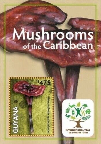 Guyana - 2012 - Mushrooms Of The Caribbean - Souvenir Sheet  - MNH