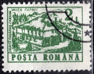 Romania; 1991: Sc. # 3665;  Used CTO Single Stamp