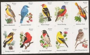 US 4891c Songbirds imperf NDC block (10 stamps) MNH 2014