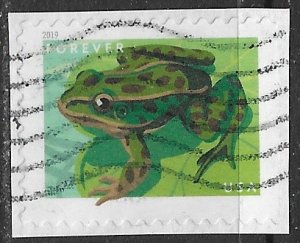 US ~ Scott # 5396 ~ Used on paper ~ Northern Leopard Frog