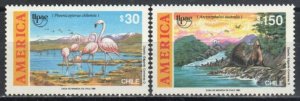 Chile Stamp 927-928  - Flamingos and South American Fur Seal