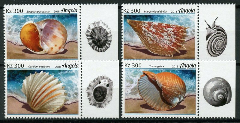 Angola Seashells Stamps 2018 MNH Marine Molluscs Sea Shells 4v Set 