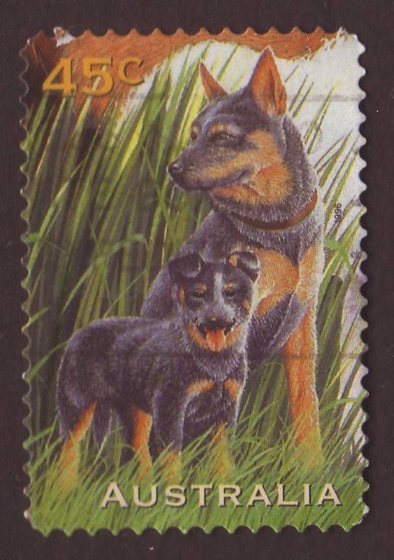 Australia 1996 Sc#1564, SG#1653 45c Blue Heeler Dogs Pets USED-Fine-NH.