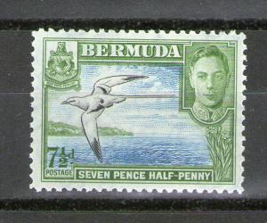 Bermuda 121D MH