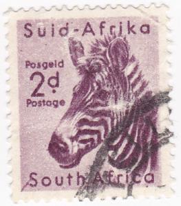 South Africa - 1954 Wild Animals Zebra- 2d used SG 154