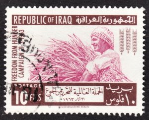 Iraq Scott 334 VF used.  FREE...
