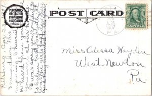 United States Pennsylvania Mustard 1907 doane 2/2  1897-1909  PC.
