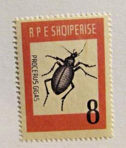 ALBANIA Scott #662 * MH Insect beetle bug  stamp, fine