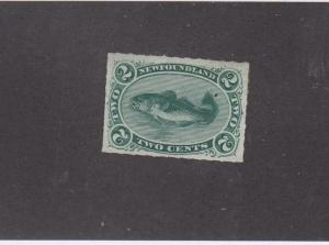 NEWFOUNDLAND # 38 VF-MNG 2cts CODFISH IMPERF CAT VALUE $300+