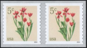 NEW ISSUE: 5¢ Red Tulips Coil Pair (2024) SA