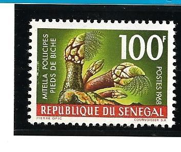 Senegal  Scott#  306  MNH