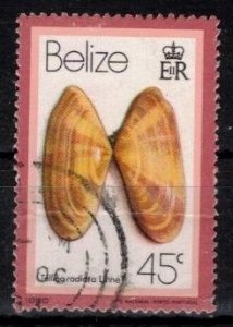 Belize - Scott 481