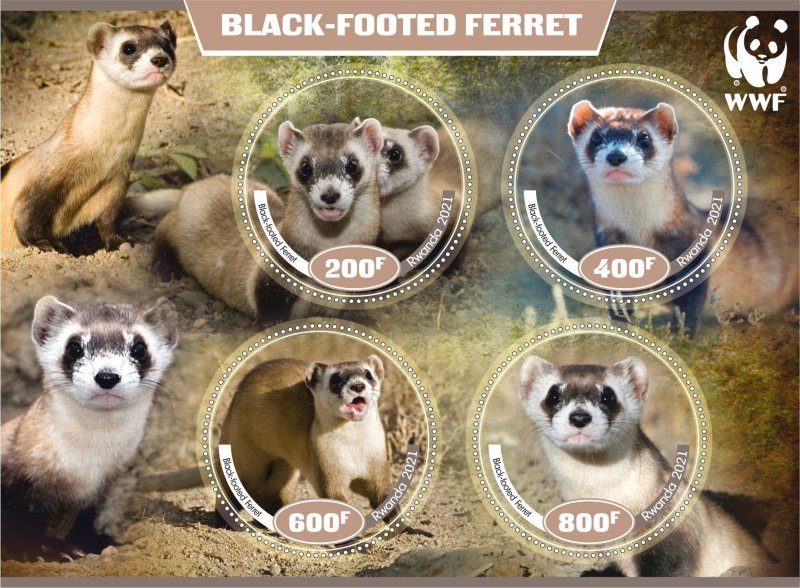 Stamps. Fauna.WWF. Black-footed 2021 year 1+1 sheets perf Rwanda