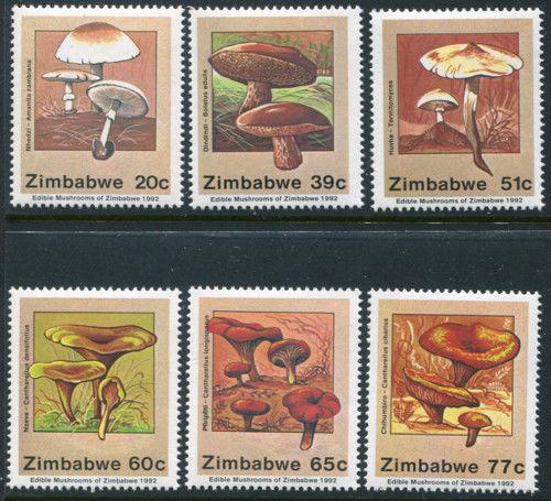 Zimbabwe 658-663, Nuovo senza Linguella, Funghi Fungi. x1883