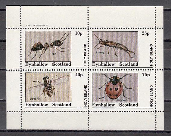 Eynhallow, 1982 Scotland Local. Insects on a sheet/4. E3