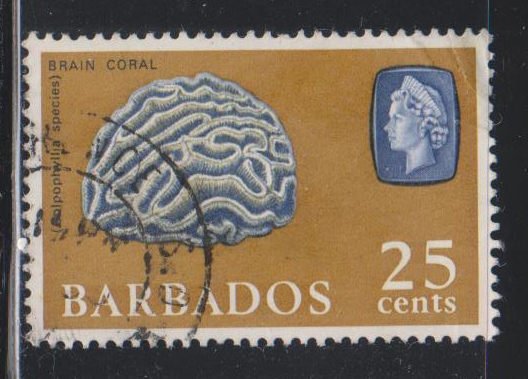 Barbados,  25c Brain Coral (SC# 276) Used