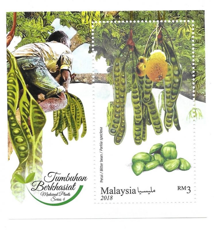 Malaysia 2018 Medicinal plants series 4 S/S MNH bo21