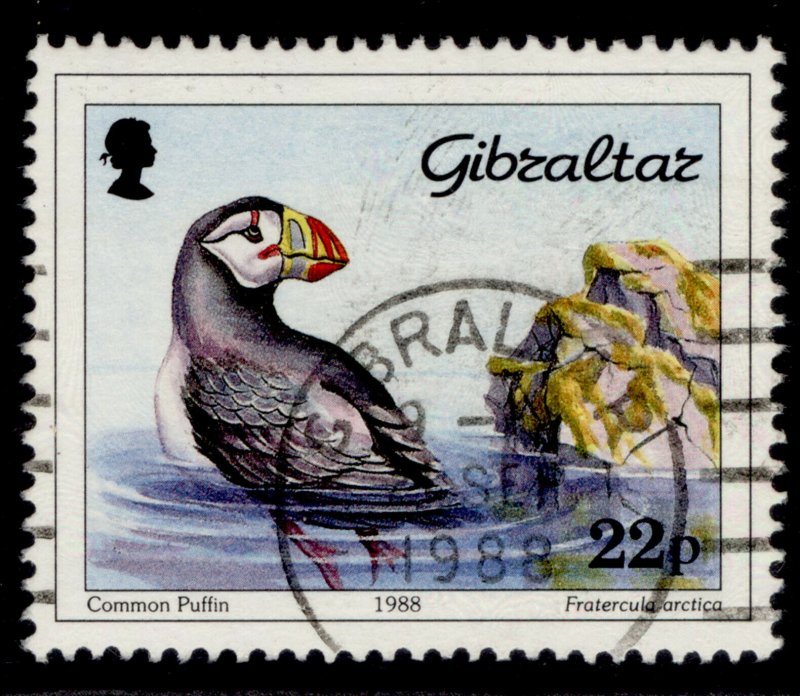 GIBRALTAR QEII SG597, 1988 22p atlantic puffin, FINE USED.