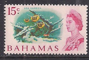 Bahamas 1967/71 QE2 15cents Fish SG 304 MNH ( F489 )