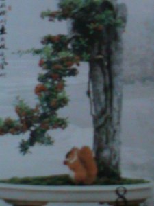 ​CHINA-CHINESE CULTURE DECORATION-BONSAI ARTS -MNH-S/S VERY FINE-LAST ONE