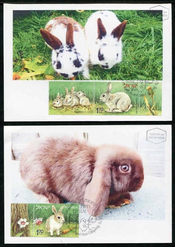 Israel Domestic Animals offspring Cat Rabbit Poultry Eggs  Maxi Mximum Card 2010