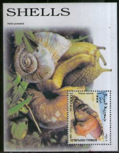 Somalia 1999 Sea Sheel Marine Life M/s MNH # 5589