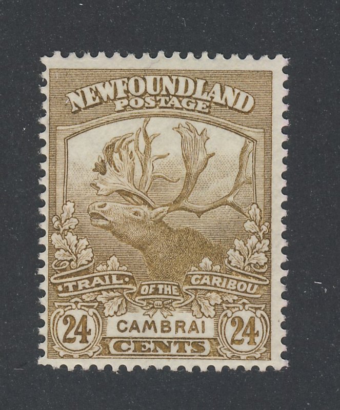 Newfoundland Stamp; #125-24c Trail of Caribou MH VF Guide Value = $60.00