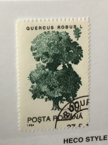 Romania 1994 Scott  3916 used - 60 l, trees, Quercus robur