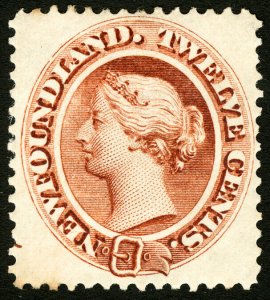 Newfoundland #29 1894 12c Brown Queen Victoria Fine-Very Fine Mint Hinged