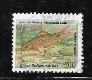 Sri Lanka #979 Used Mountain Labeo Single